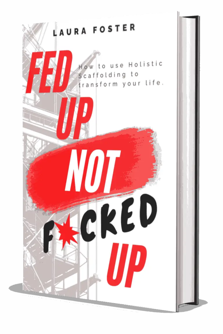 FUNFU Book Cover