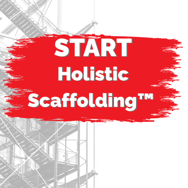 Start Holistic Scaffolding Image